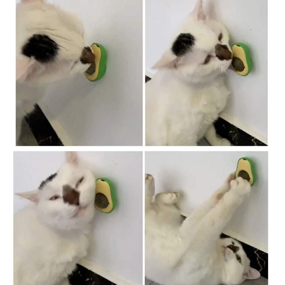 Natural Catnip Wall Ball β Rotatable Cat Teeth Cleaning Toy