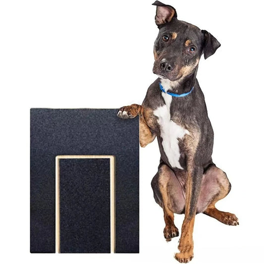 Dog Nail Scratch Board with Treat Box