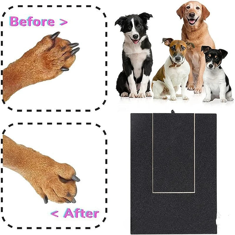 Dog Nail Scratch Board with Treat Box