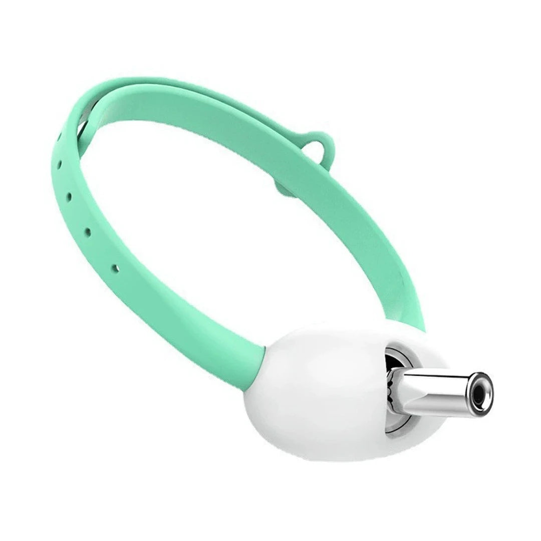 Wearable Laser Pointer Collar – USB Rechargeable Smart Interactive Cat Toy 🐾