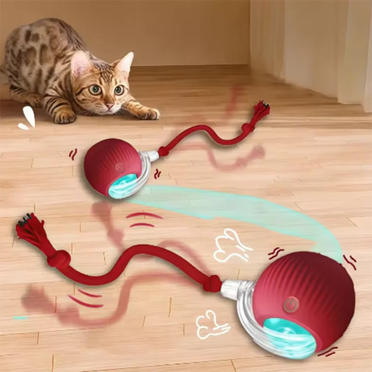 Rechargeable Smart Pet Ball Toy Automatic Rolling Faux Tail Interactive Electric Toy for Cats Dogs Training Imitate Mouse